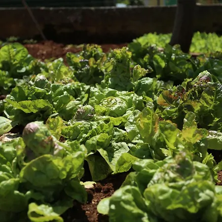 公寓 Stinjan Elda *