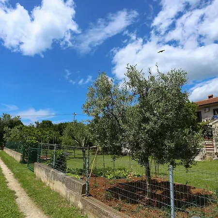 Apartament Stinjan Elda Pula