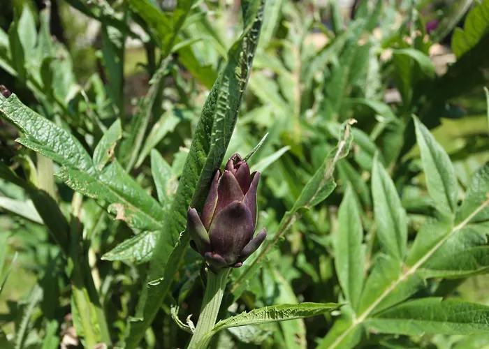 Apartament Stinjan Elda