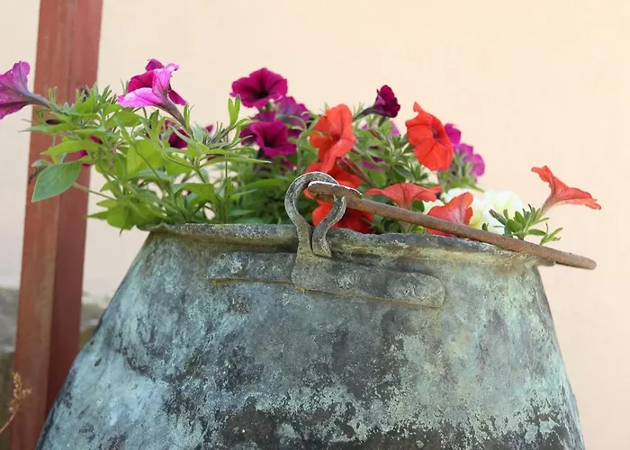 Stinjan Elda Apartament Pula