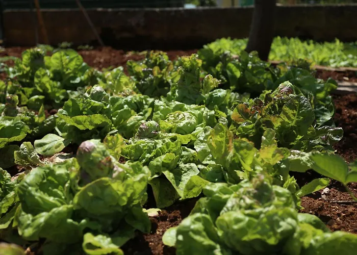 Apartament Stinjan Elda *