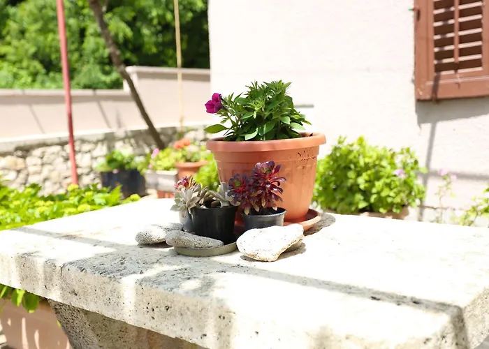 Stinjan Elda * 普拉