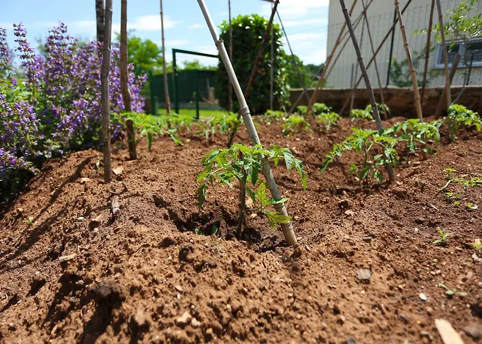 Stinjan Elda Apartament