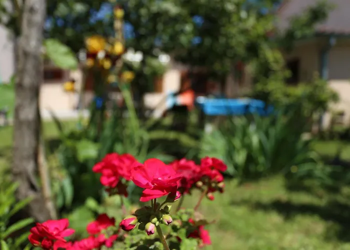 Stinjan Elda بولا