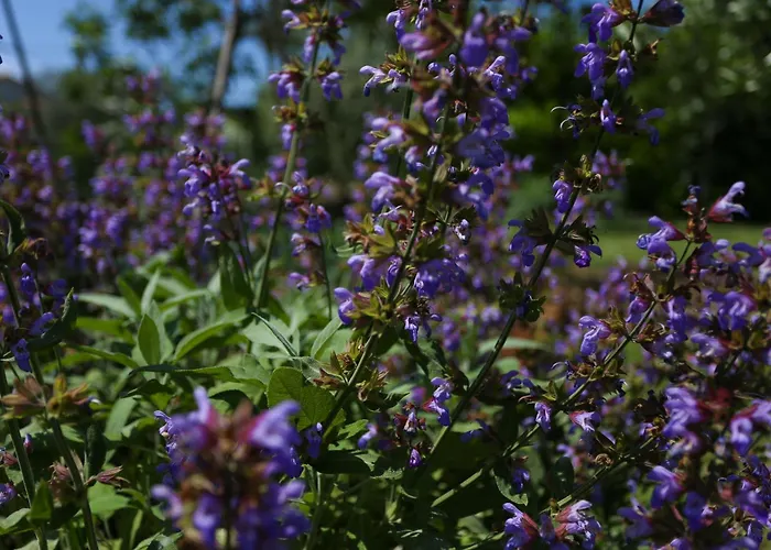 Stinjan Elda Apartment